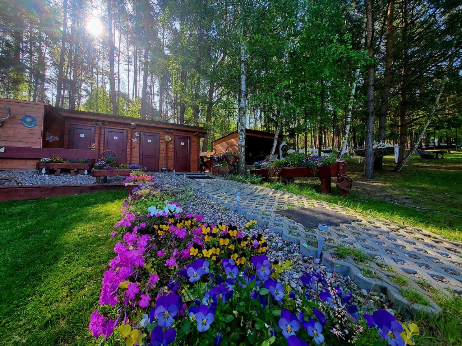 Отель Glamping Pod Orlem Cedynia Экстерьер фото